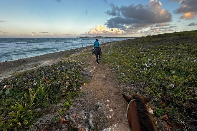 Sunset Horseback Ride at Macao Beach & Forest with Transfers - Transfers make the $61 price easier to judge