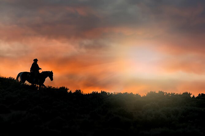 Sunset Horseback Ride at Macao Beach & Forest with Transfers - Timing, group size, and the shape of the afternoon