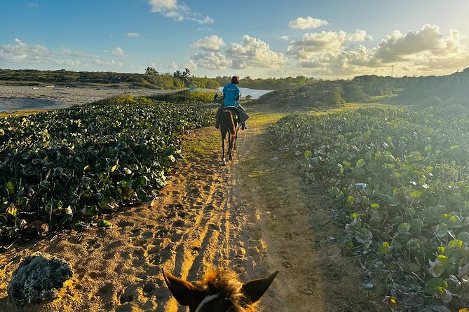Sunset Horseback Ride at Macao Beach & Forest with Transfers - Weather and cancellation details