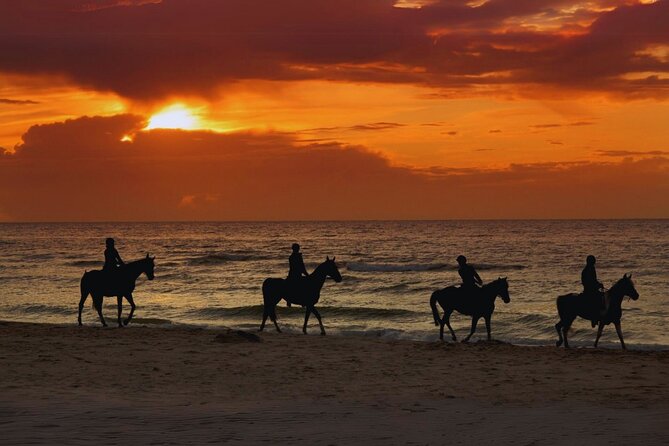Sunset Horseback Ride by the Beach in Aguadilla, Puerto Rico - Key details before you saddle up
