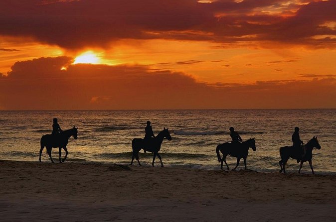 Sunset Horseback Ride by the Beach in Aguadilla, Puerto Rico - Practical booking advice for Aguadilla