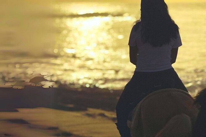 Sunset Horseback Ride by the Beach in Aguadilla, Puerto Rico - What the horses and guide add