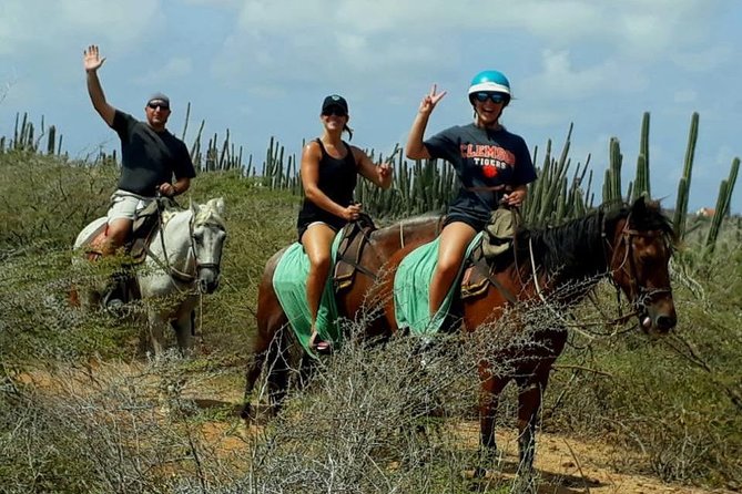 Sunset Horseback Ride in Aruba - The hilltop sunset stop