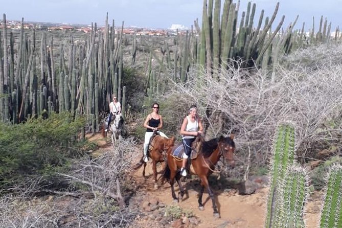 Sunset Horseback Ride in Aruba - Guides, language, and the level of help