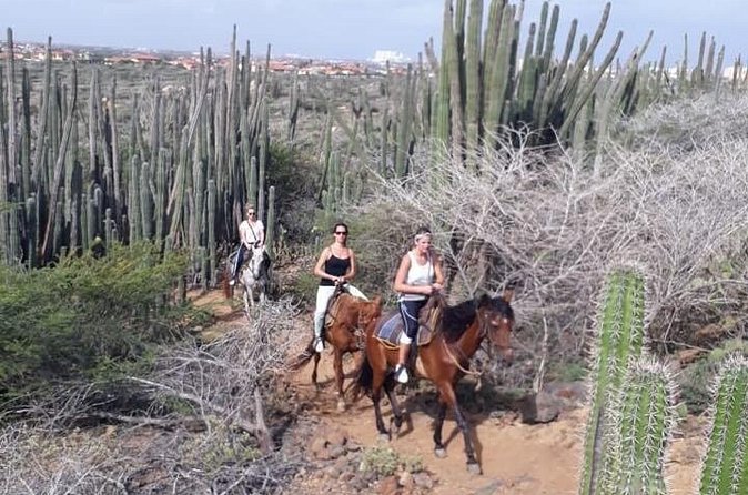 Sunset Horseback Ride in Aruba - Comfort, clothing, and physical demands
