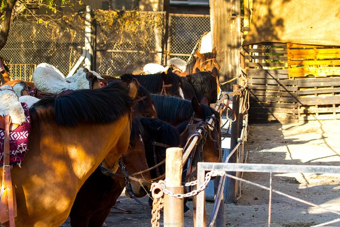 Sunset Horseback Riding - Leaving Mendoza City for Lunlunta