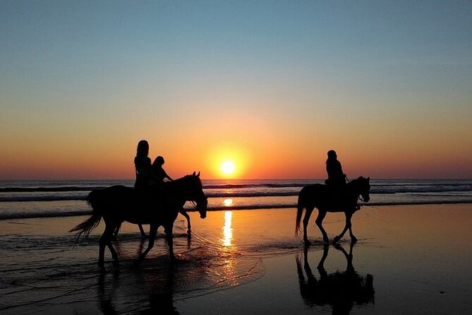 Sunset Horseback Riding in Puerto Plata - Why the beach ride is the heart of the experience