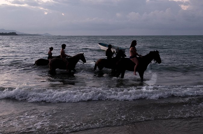 Sunset Horseback Riding in Puerto Plata - Who will enjoy this ride most