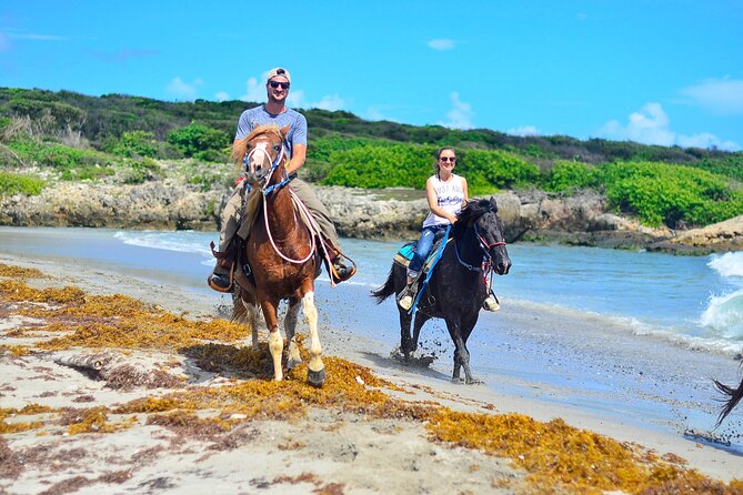Sunset Horseback Riding Tour in Punta Cana (Private Option) - What $65.95 means in value