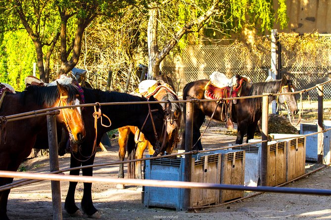 Sunset Horseback Riding - The two-hour ride toward the river