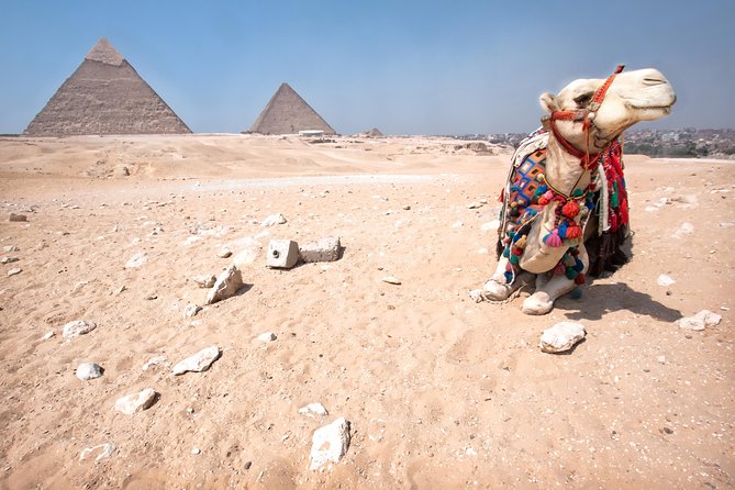 Sunset Safari Tour By Horse or Camel Ride - Why This Sunset Ride Feels Different