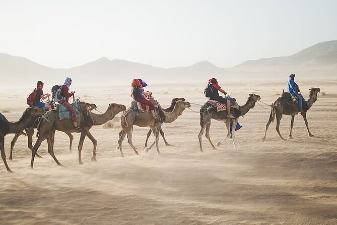 Sunset Safari Tour By Horse or Camel Ride - What the Private Format Adds