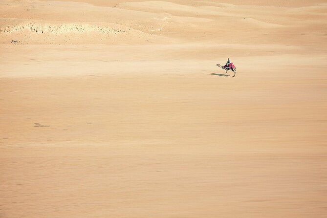 Sunset Safari Tour By Horse or Camel Ride - Choosing Between a Camel and a Horse