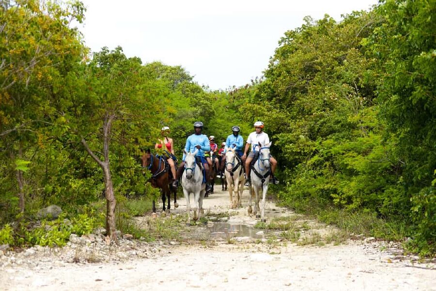 Swim Horse fom Punta Cana - What swimming with the horses is like