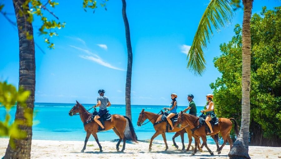 Swim Horse fom Punta Cana - Should you book the horse swim from Punta Cana?