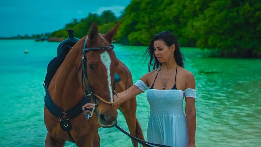 Swim Horse fom Punta Cana - Clear springs, mangroves, and the Caribbean shore