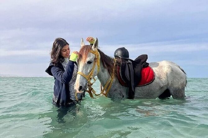 Swimming by Horse 3 Hours ,Beach, Desert & Dinner - Hurghada - A Horse Ride That Changes Scenery Fast