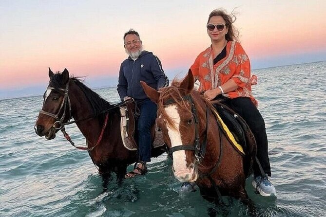 Swimming by Horse 3 Hours ,Beach, Desert & Dinner - Hurghada - What the Three-Hour Riding Segment Includes