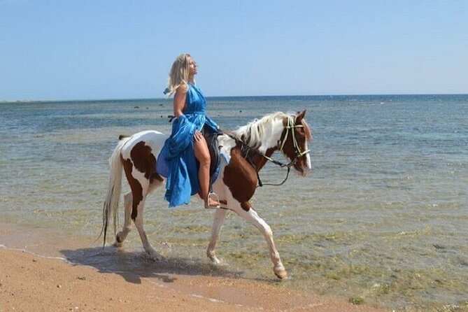 Swimming by Horse 3 Hours ,Beach, Desert & Dinner - Hurghada - What the $21 Price Really Covers