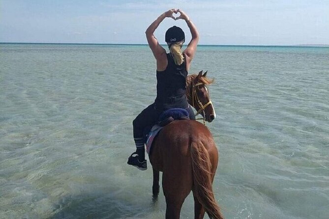 Swimming by Horse 3 Hours ,Beach, Desert & Dinner - Hurghada - Safety Gear and Who Will Find It Comfortable