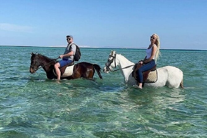Swimming by Horse 3 Hours ,Beach, Desert & Dinner - Hurghada - What the Feedback Suggests About the Service