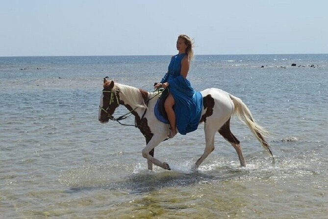 Swimming by Horse 3 Hours ,Beach, Desert & Dinner - Hurghada - Cancellation and Booking Details in Plain English