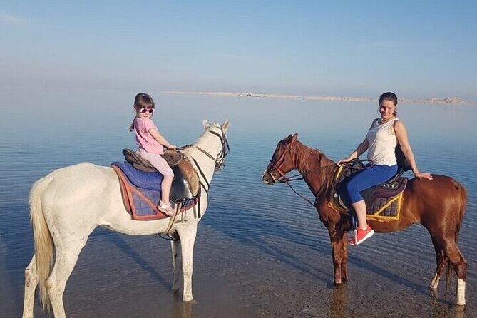 Swimming by Horse 3 Hours ,Beach, Desert & Dinner - Hurghada - Should You Book the Beach, Desert, and Dinner Ride?