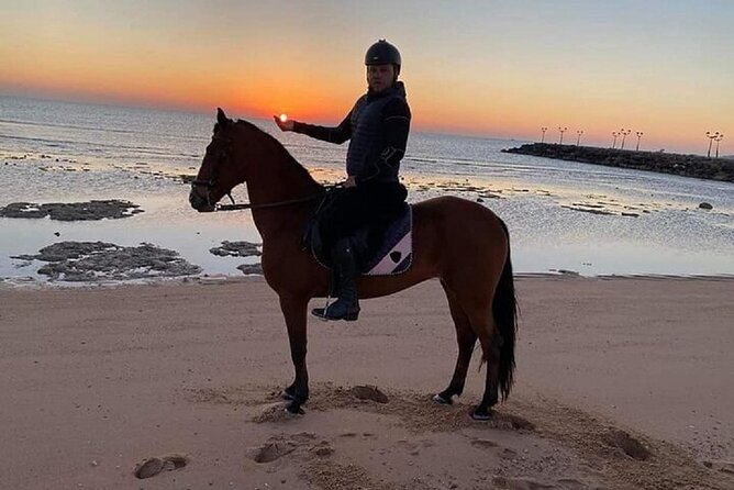 Swimming by Horse at Red Sea Beach & Desert with Dinner- Hurghada - Dinner and the pace of the day