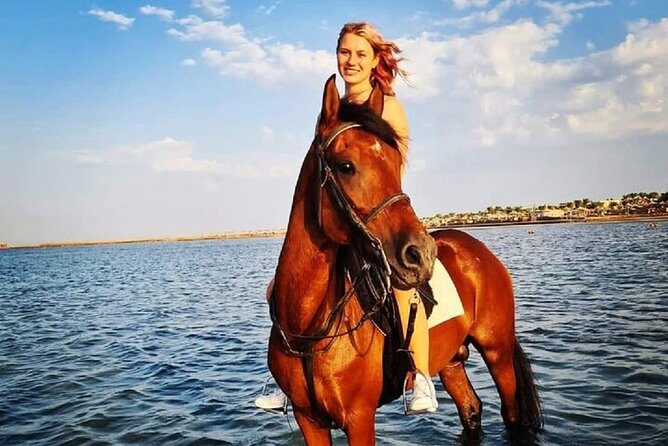 Swimming by Horse at Red Sea Beach & Desert with Dinner- Hurghada - What the $21 price really covers