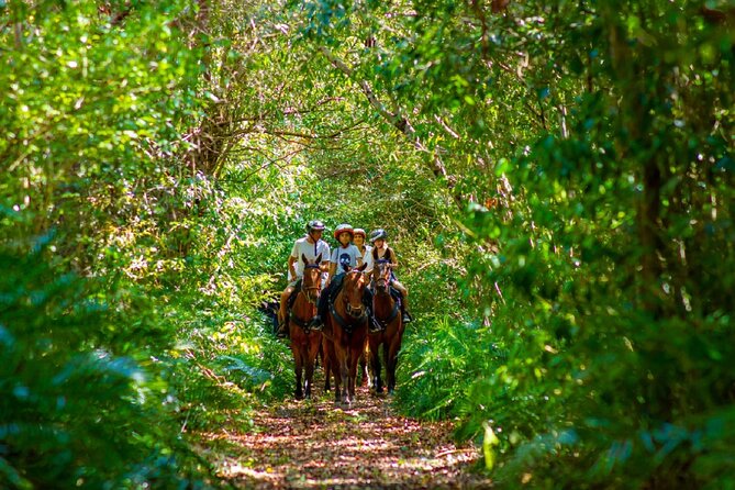 Swimming with Horses at the Beach from Punta Cana Free transportation - Pickup, timing, and the risk to manage
