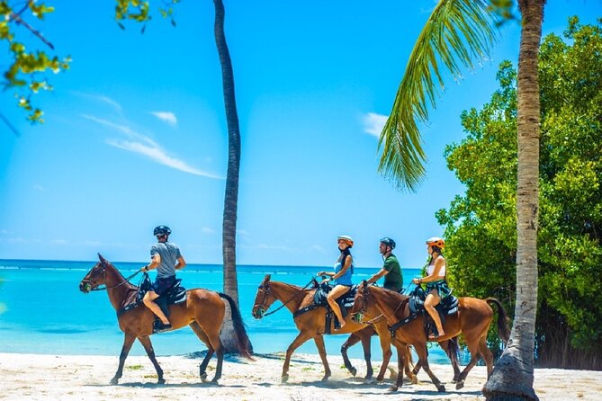 Swimming with Horses at the Beach from Punta Cana Free transportation - Swimming with the horses