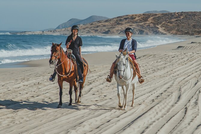 Tacos and Horseback Riding at Migriño beach - Riding from Cabo to Migriño beach