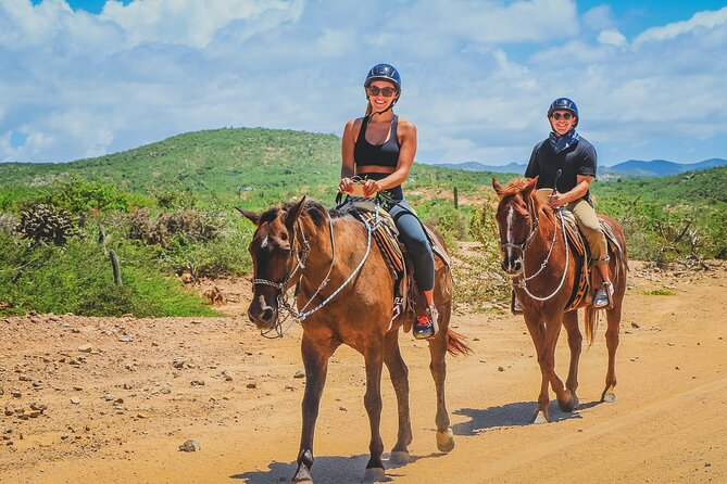 Tacos and Horseback Riding at Migriño beach - Winter whale watching from the saddle