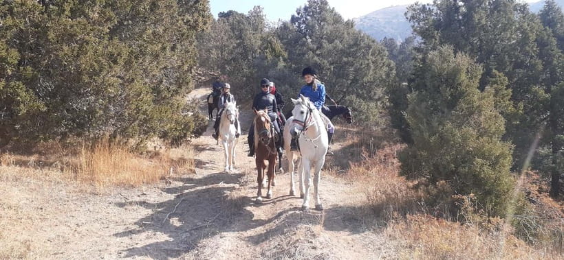 Tashkent: 3-Day Horseback Riding Tour in Chimgan Mountains - Why this Chimgan ride feels like a real mountain journey