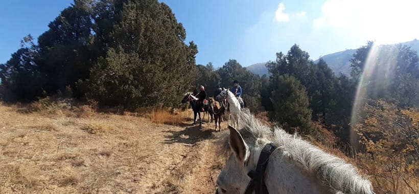Tashkent: 3-Day Horseback Riding Tour in Chimgan Mountains - Day 1: Tashkent to Aksai Valley and Archali Pass