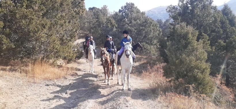 Tashkent: 3-Day Horseback Riding Tour in Chimgan Mountains - Day 3: Akshuran Pass and the ridge above Charvak Lake