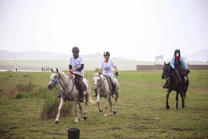 Tbilisi: Kakheti Horse Riding, Wine Tasting, and Cooking … - Entering the 7.7-Kilometer Kvareli Wine Cave