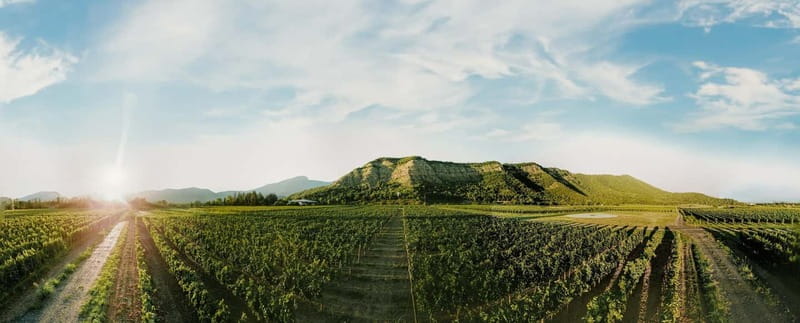 Tbilisi: Kakheti Horse Riding, Wine Tasting, and Cooking … - Turning Georgian Cooking Into Dinner