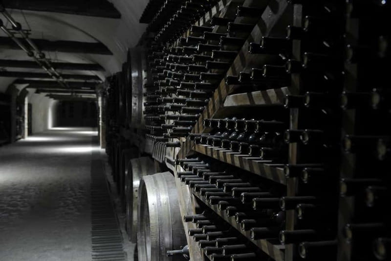 Tbilisi: Kakheti Horse Riding, Wine Tasting, and Cooking … - Timing, Comfort, and Who Should Book
