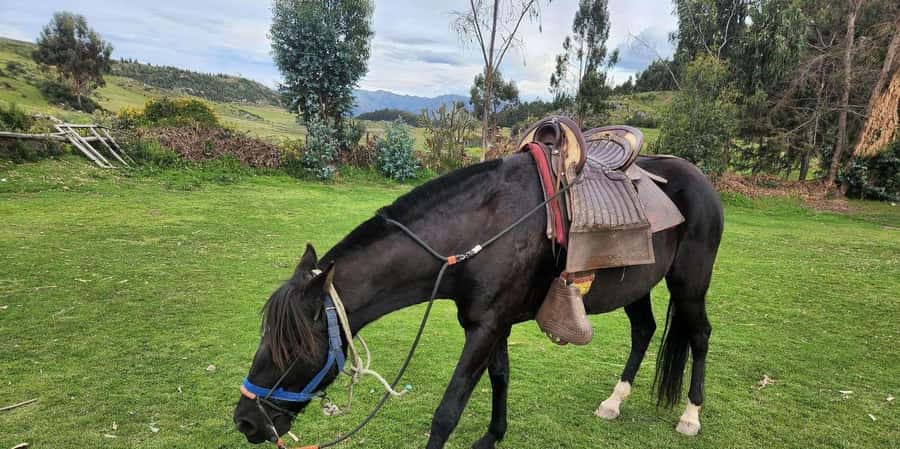 Temple of the Moon Horseback Riding Tour with Transfer - Key points to know