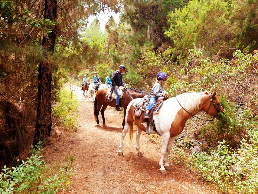 Tenerife: Guided Horseback Riding Tour to the Lomo Forest - A slow ride through Lomo Cuchillo