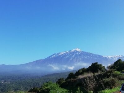 Guided Horseback Riding Tour to the Lomo Forest