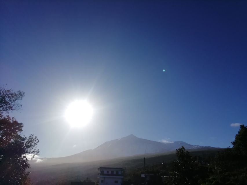 Tenerife: Guided Horseback Riding Tour to the Lomo Forest - Matching the experience to your fitness and age