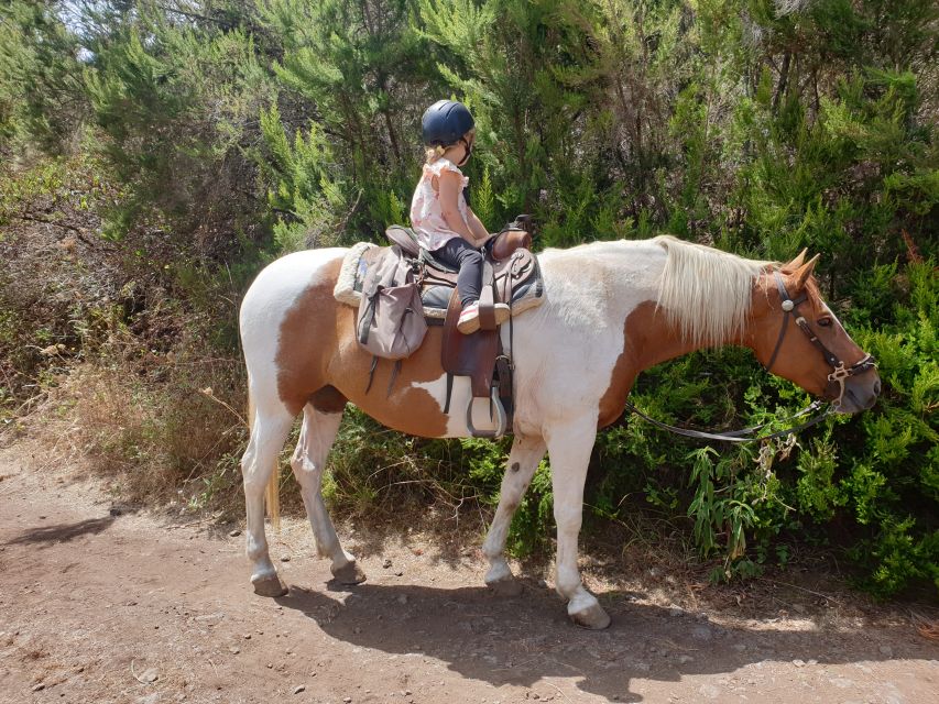 Tenerife: Guided Horseback Riding Tour to the Lomo Forest - Is $57 a fair price?