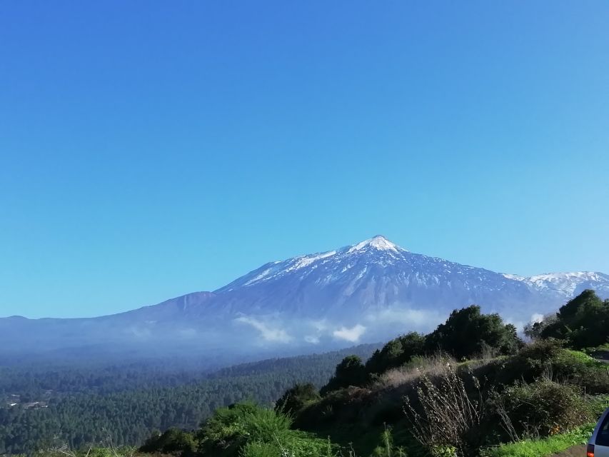 Tenerife: Guided Horseback Riding Tour to the Lomo Forest - Why the 11 a.m. arrival matters