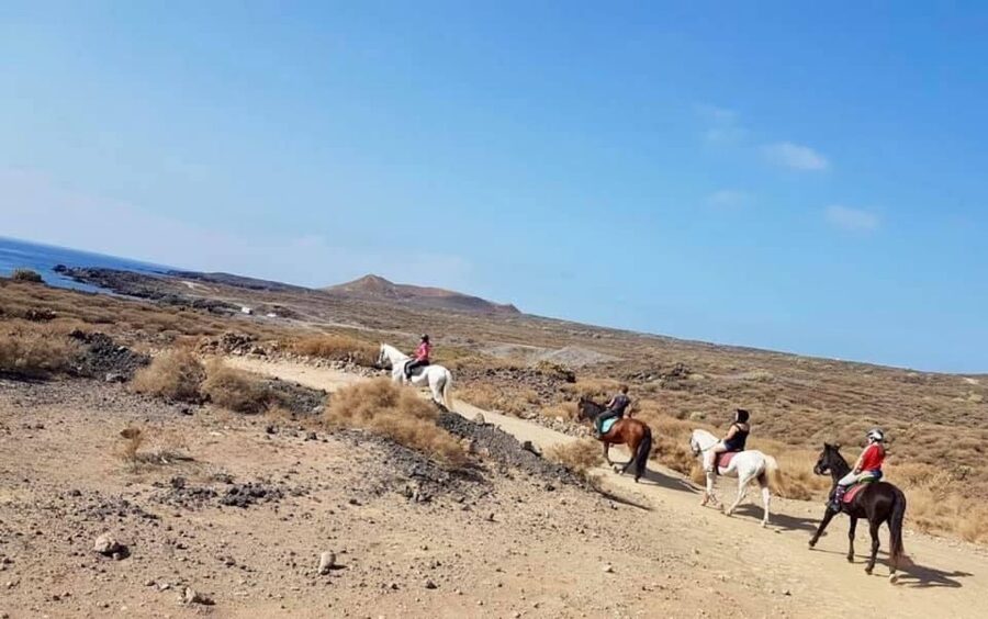 Tenerife: Horseback Ride with Instructor - From Arona’s stables into southern Tenerife