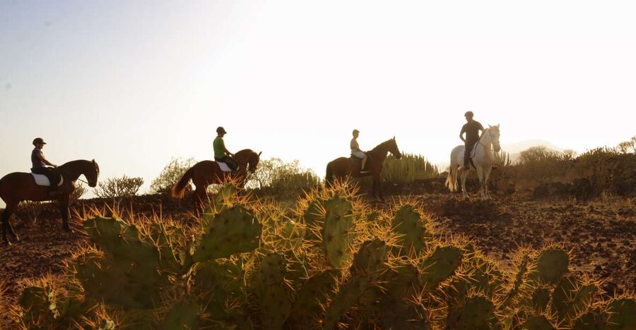 Tenerife: Horseback Ride with Instructor - The two-hour route to the beach