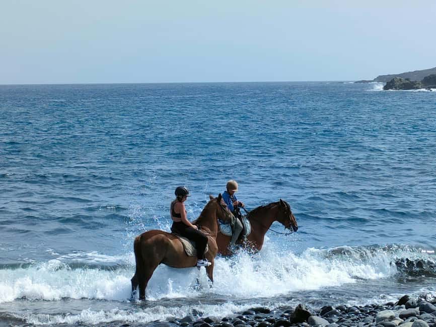 Tenerife South: Private Horseback Ride to the Coast - Key points at a glance
