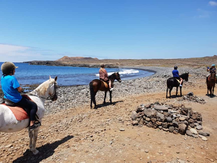 Tenerife South: Private Horseback Ride to the Coast - Riding from Xanadu Tenerife to the volcanic coast