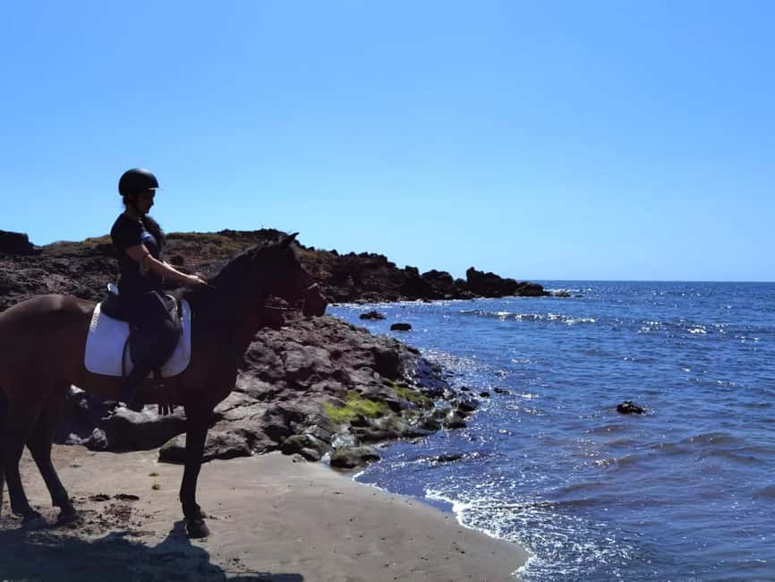 Tenerife South: Private Horseback Ride to the Coast - What the private format really gives you